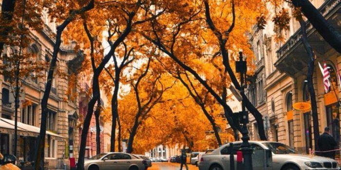 750x1334 Fall iPhone Wallpapers - Top Free Fall iPhone Backgrounds