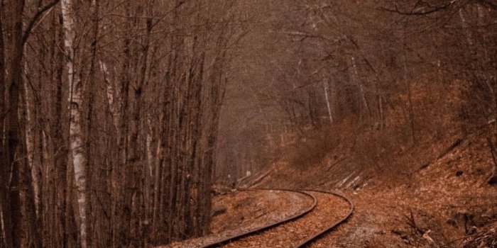 1242x2688 Wallpaper Weekends: Autumn iPhone XS Max Wallpapers