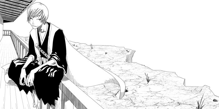2560x1600 Ichimaru Gin Wallpaper | 2560x1600 | ID:29887