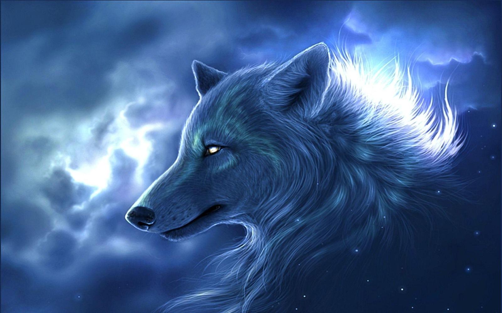 1920x1200 Cool Wolf Backgrounds