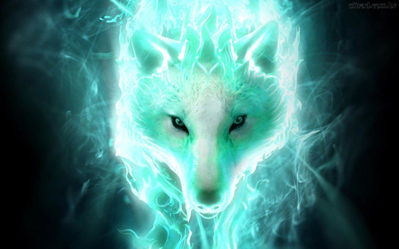 1920x1200 71+ Cool Wolf Wallpapers on WallpaperPlay