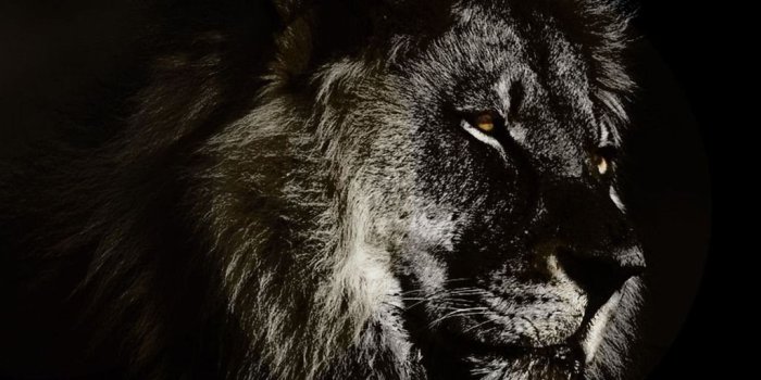 1024x768 Wallpapers Thrasher Magazine Best Every City State Desktop