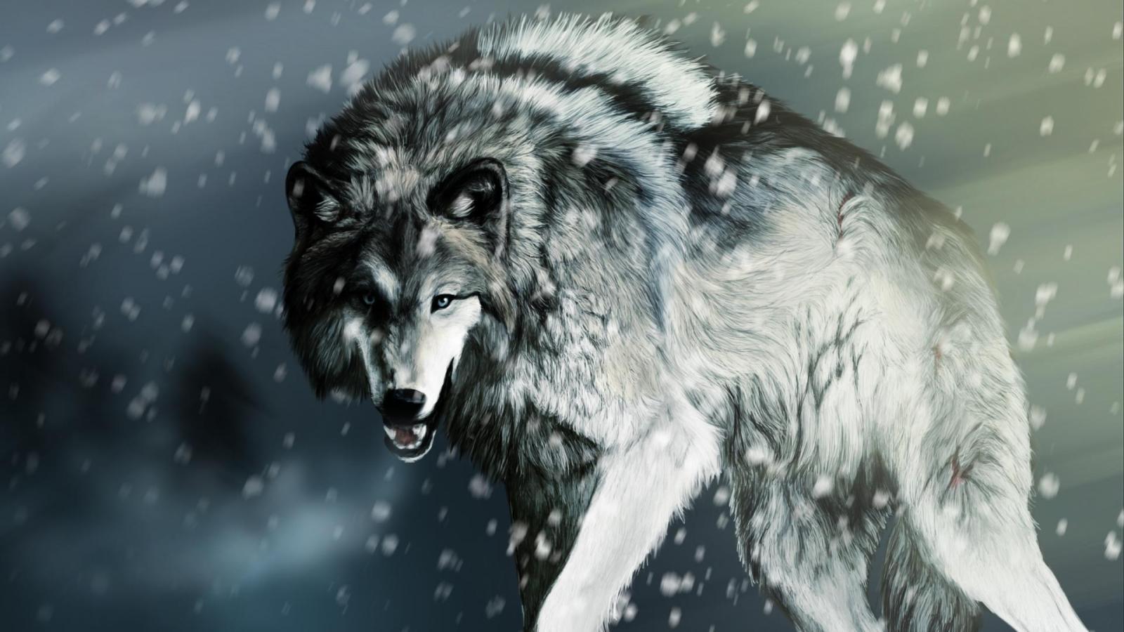 1920x1080 Cool Wolf Backgrounds