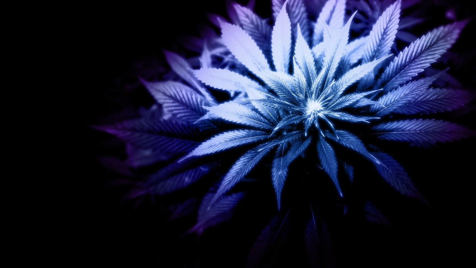 1920x1080 Free download Marijuana weed 420 ganja e4 wallpaper 1920x1080 171586