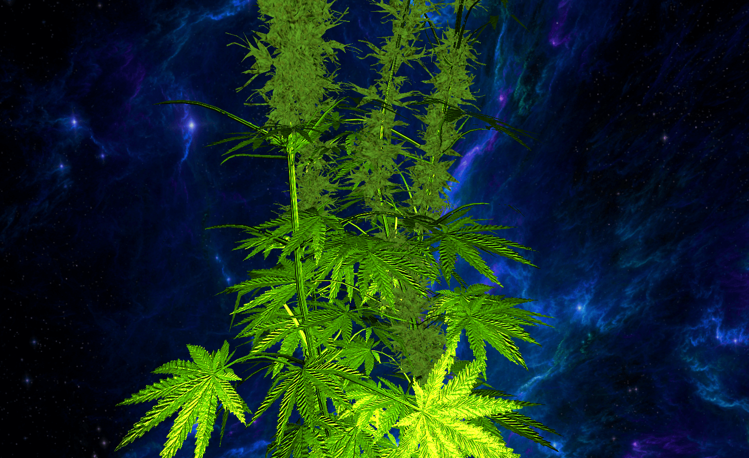 1469x898 Free download Weed 3D Live Wallpaper Full screenshot [1469x898] for
