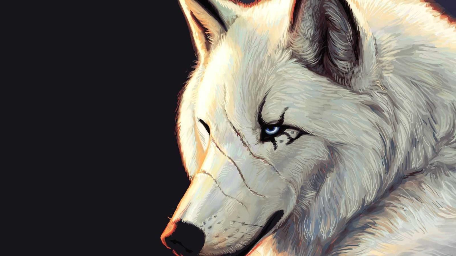 1920x1080 71+ Cool Wolf Wallpapers on WallpaperPlay
