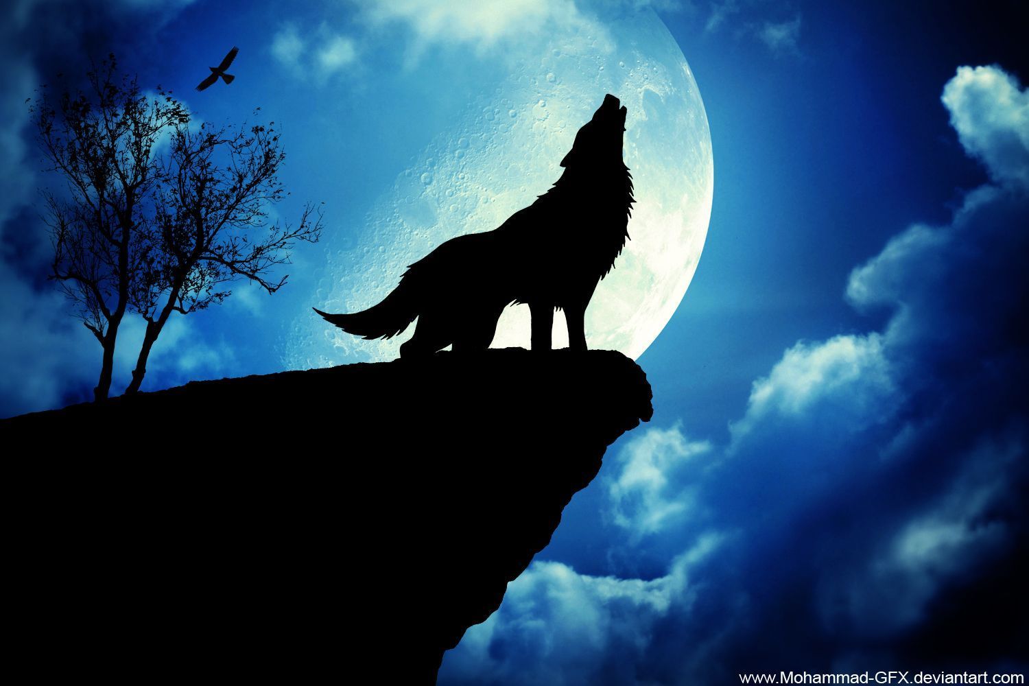 1500x1000 Cool Wolf Sayings Wolf Wallpaper WOLFS Pinterest Wolves 1500x1000