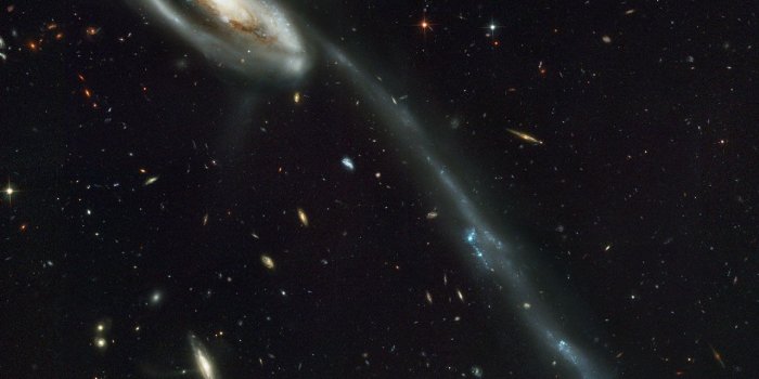 1280x1115 A 'wallpaper' of distant galaxies is a stunning backdrop for a