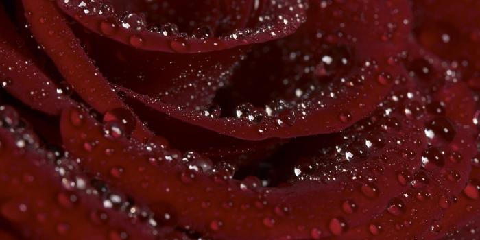 2048x1536 Burgundy Aesthetic Desktop Wallpapers - Top Free Burgundy Aesthetic