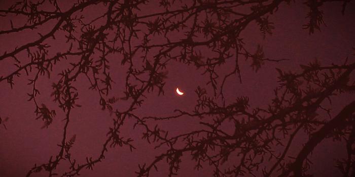 1280x722 Burgundy Aesthetic Desktop Wallpapers - Top Free Burgundy Aesthetic