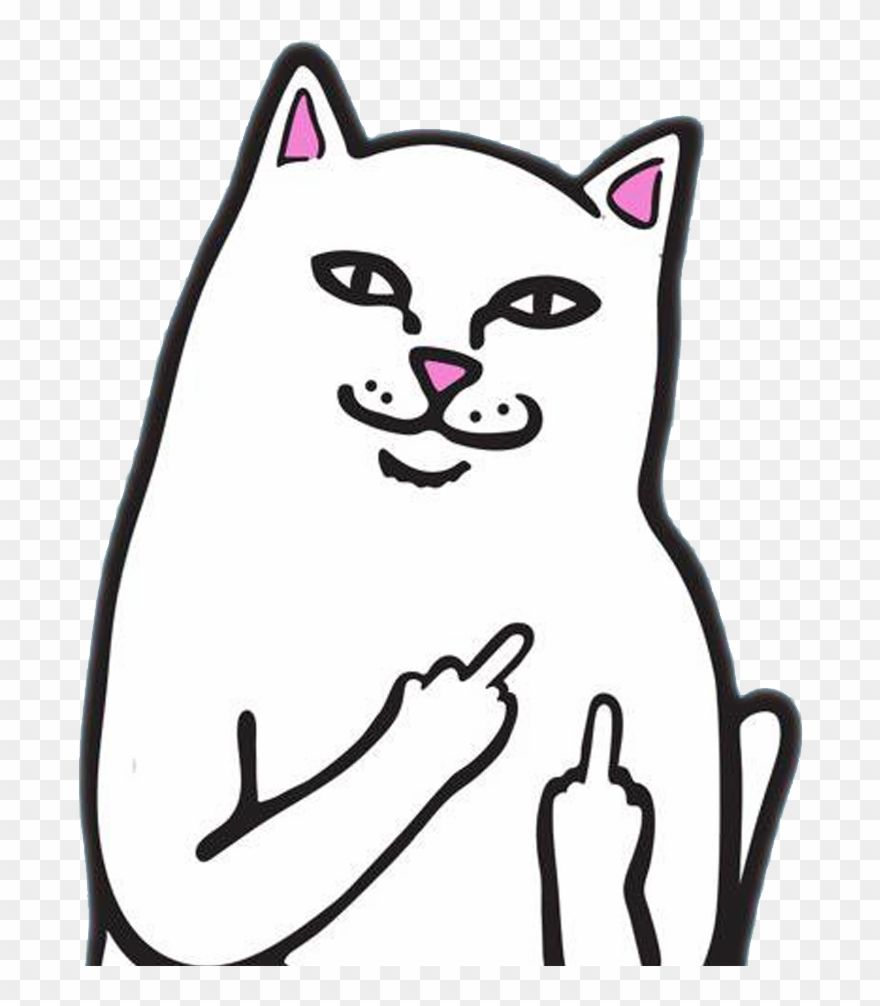 880x1006 Aesthetic Wallpaper Iphone - Mob Grip Rip N Dip Nermal Grip Tape - 9