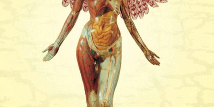 1080x1920 Nirvana iPhone Wallpaper (65+ images)