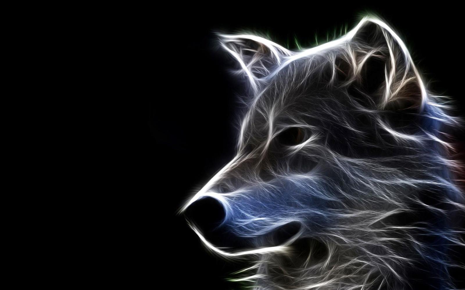 1805x1128 Cool Wolf Wallpapers - Top Free Cool Wolf Backgrounds - WallpaperAccess