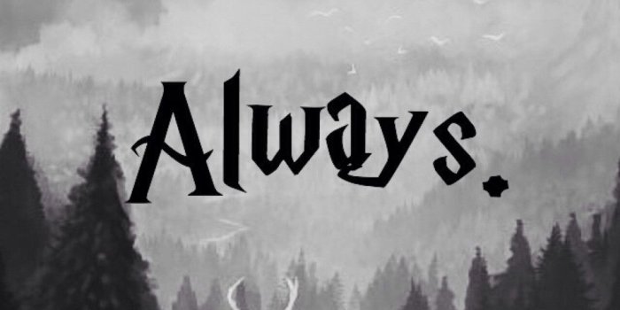 1082x1920 68+ Hogwarts Iphone Wallpapers on WallpaperPlay