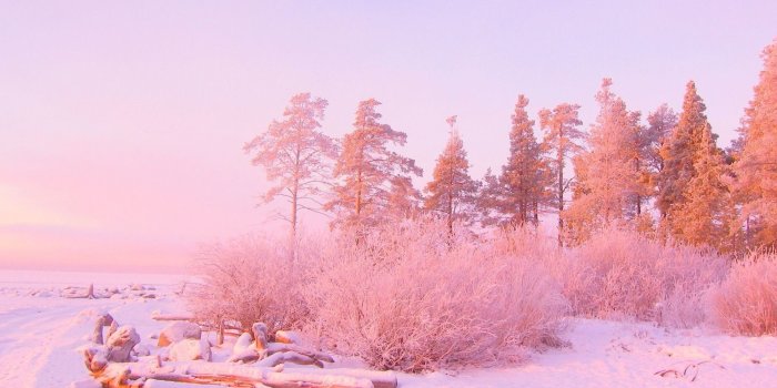 1920x1080 77+ Pink Phone Wallpapers on WallpaperPlay