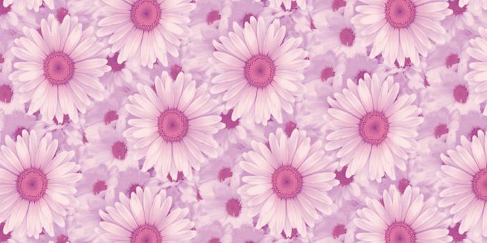 1920x1080 Aesthetic Laptop Wallpapers