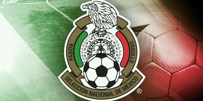 1080x1920 Dmartinez on Soccer | Mexico national team, Mexico team, Team