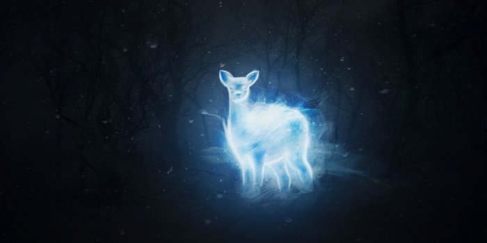 1191x670 Patronus Wallpapers