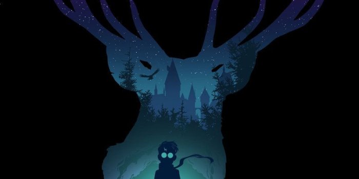 800x1000 Patronus Wallpapers