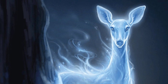 719x1280 harry potter lockscreens | Tumblr