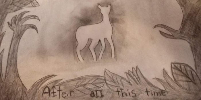 1024x768 After all this time 