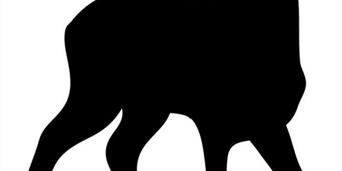 736x1164 Harry Potter Doe Silhouette