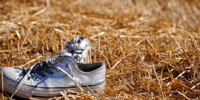 1300x960 Canvas shoes, Converse, Grass, Jumping wallpaper | other