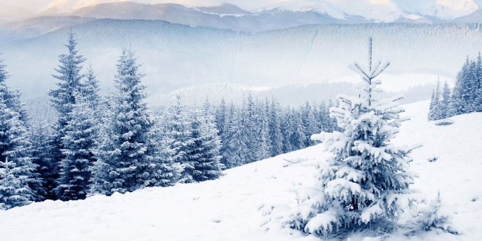 3840x2160 67+ Winter Desktop Wallpapers on WallpaperPlay