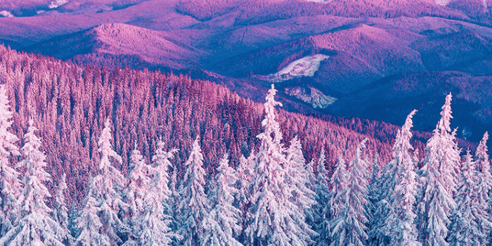 744x1392 Omg I lovveee this so much! | rAnDoM | Winter wallpaper, Landscape