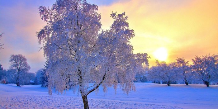 1920x1200 Free Winter Sun Wallpapers