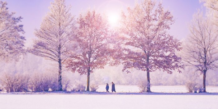 5456x3632 Winter Wallpapers: 30 Awesome Images For The Cold Season