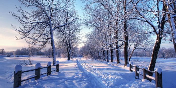 2560x1600 Mac Winter Wallpaper (62+ images)