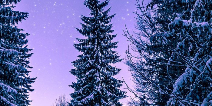 1125x2436 4K Winter wallpapers for iPhone, iPad, or MacBook
