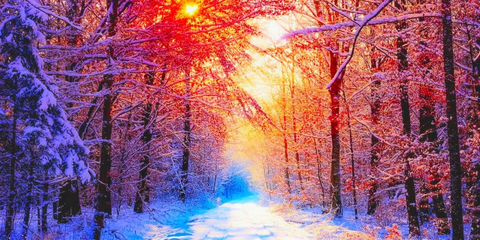 1920x1080 Winter-Wallpaper-Full-HD-WSW20214601 - Weston Middle School