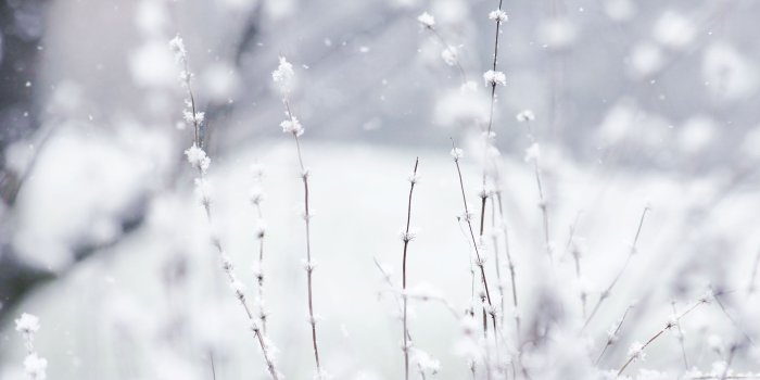 3888x2592 Android Wallpaper: Winter Wonderland