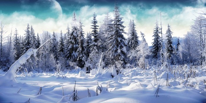 1920x1200 25 Stunning Winter Wallpapers