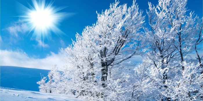 2560x1600 67+ Winter Desktop Wallpapers on WallpaperPlay