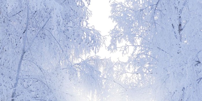 1080x1920 Winter iPhone 6S Plus Wallpaper | Gallery Yopriceville - High