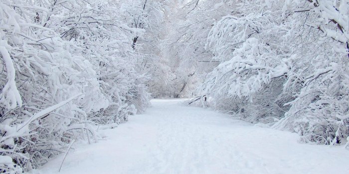 1920x1080 Winter Wallpapers | Best Wallpapers