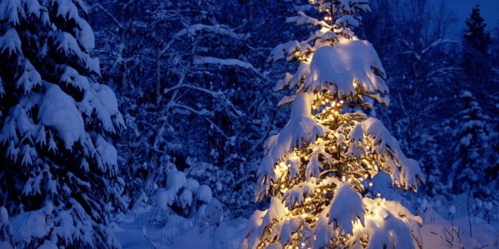 1024x768 Winter wallpapers - Winter Wallpaper (2768524) - Fanpop