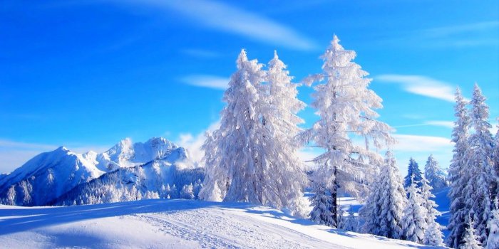 1280x720 Nature / Winter Wallpaper - High Resolution Winter Backgrounds