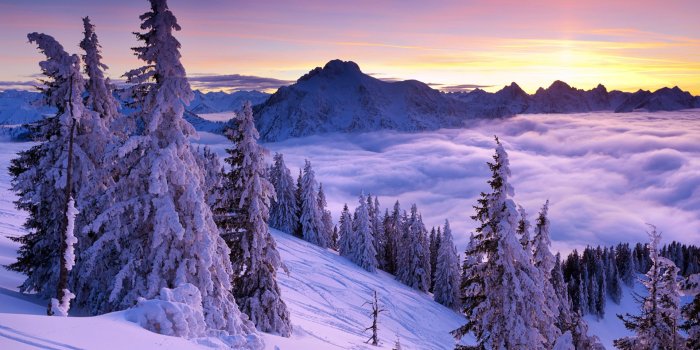 1920x1200 Winter HD Wallpaper #6894797