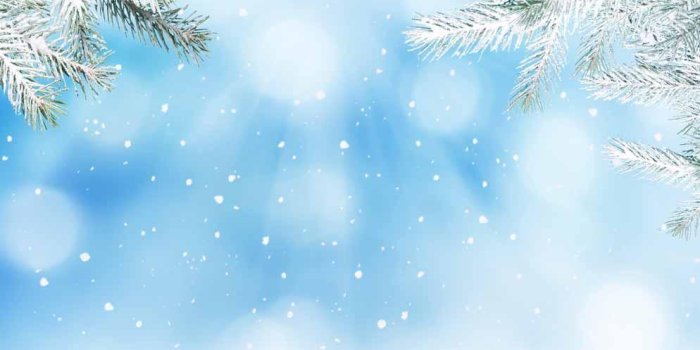 994x1000 Winter Wallpaper App for Android - APK Download