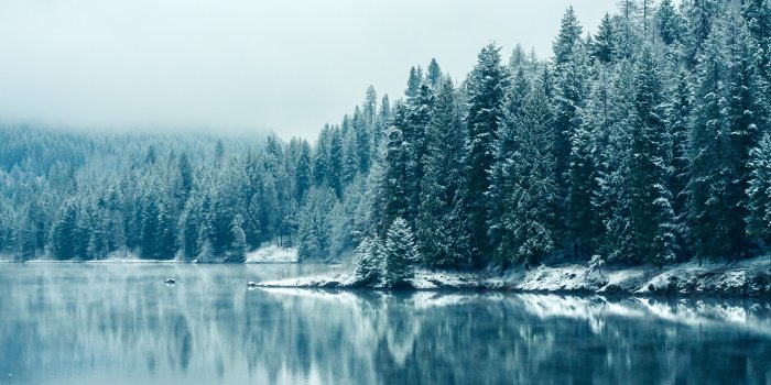3200x2000 Winter HD Wallpaper | Background Image | 3200x2000 | ID:386228