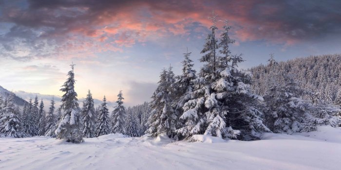 3840x2160 Winter Wallpaper | Best Wallpaper HD