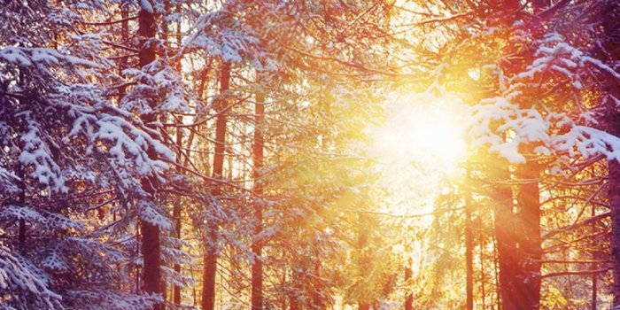 1080x1920 60 BEAUTIFUL NATURE WALLPAPER FREE TO DOWNLOAD. | Colors of Winter