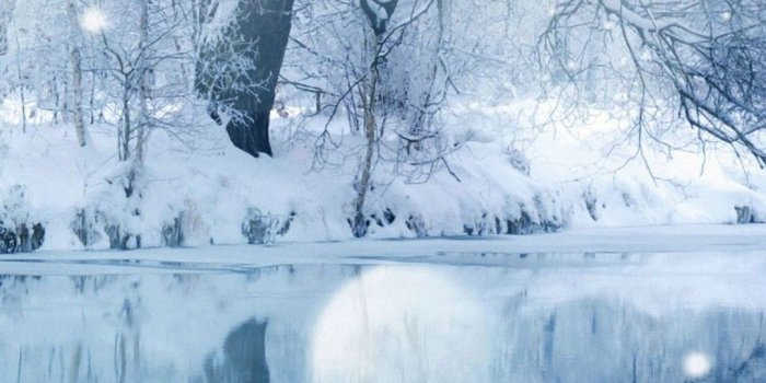 1080x1920 63+ Cute Winter Wallpapers on WallpaperPlay