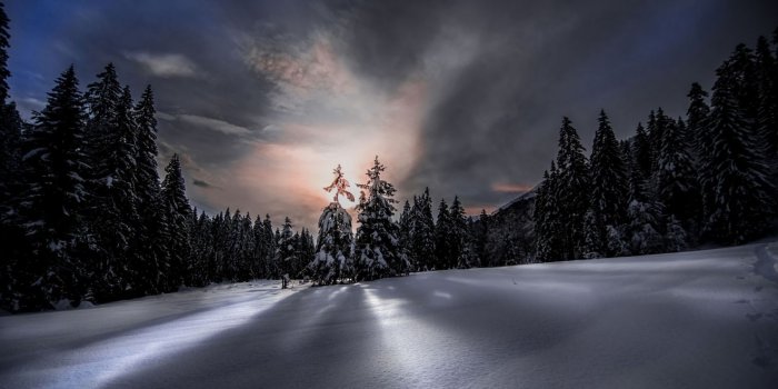 1920x1200 Winter Wallpaper 093 - [1920x1200]