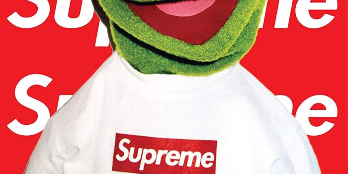 1060x1500 Fotojig Kermit The Frog A1 Large Icon Poster Rare Supreme - Kermit