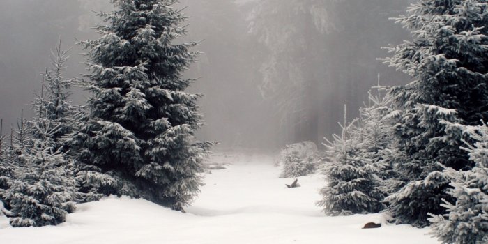 2048x2048 Free winter iPad wallpapers - PremiumCoding